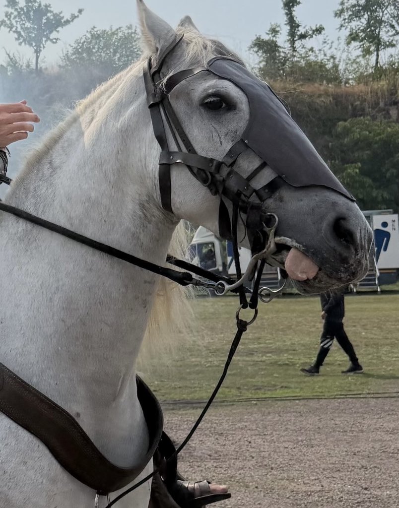 นุ้งดาว ✨ tweet media