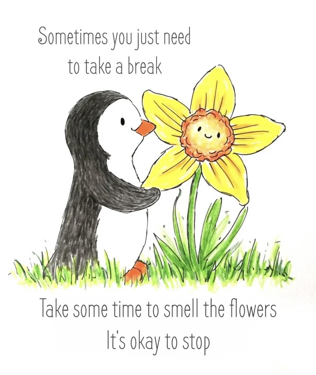 Tracey Knight (@traceyk19393720) on Twitter photo 
