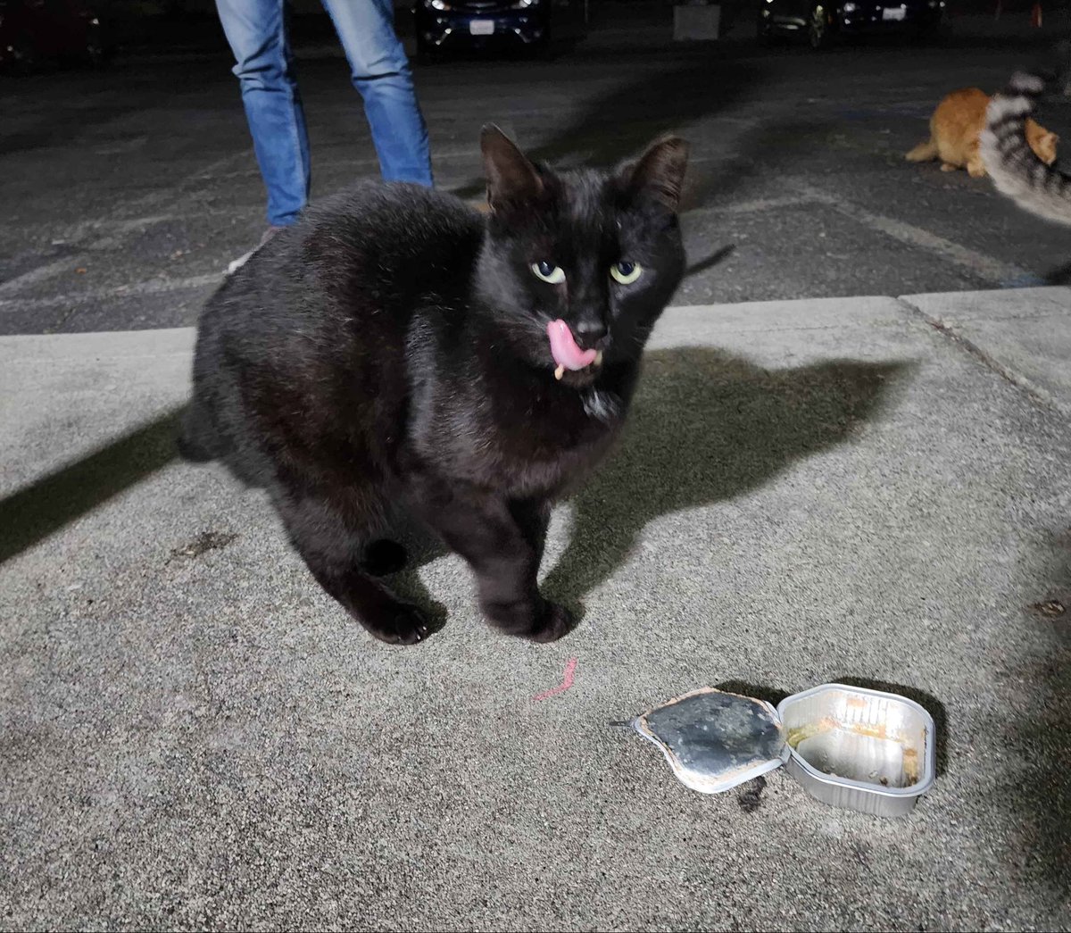 Shikikan AUG tweet media