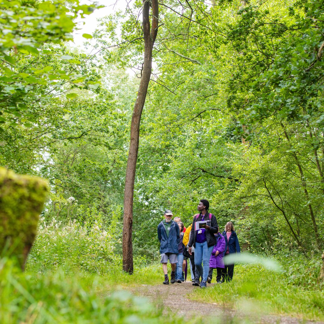 The Parks Trust tweet media