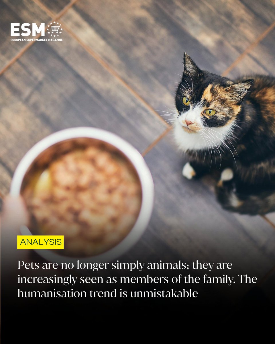 esm_magazine's tweet image. There is a tasty opportunity sitting right under the noses of grocery retailers, writes Stefano Di Napoli. So why aren't they biting? 

Read full article: esmmagazine.com/features/how-g…

#petfood #Europe #retail #consumertrends