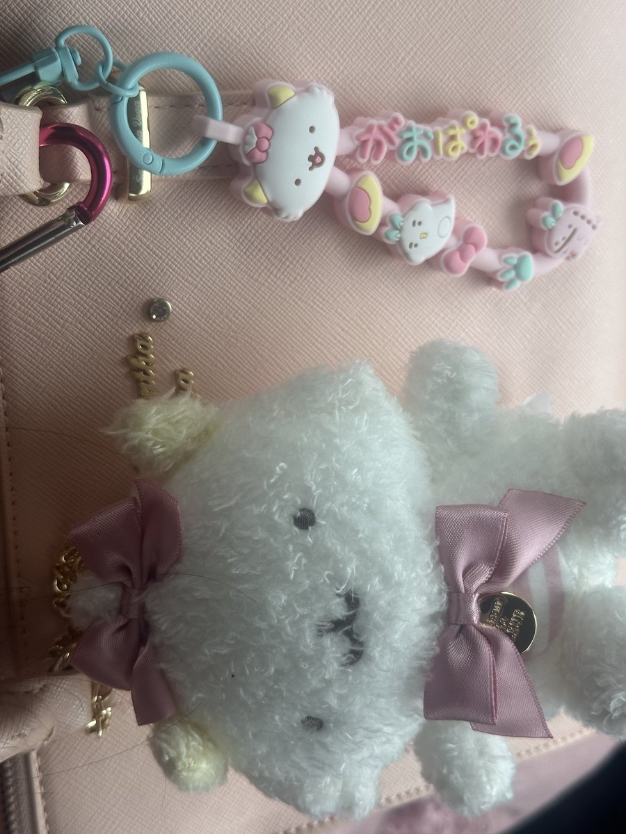 みつʓぅ🦖🎀🌸 tweet media