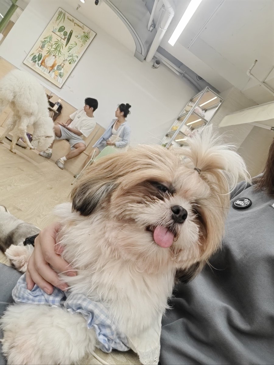 Neil Dyal tweet media