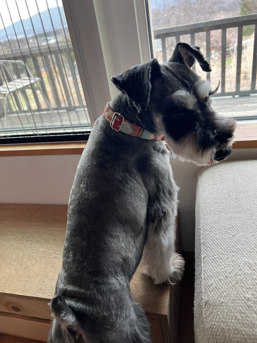 Yukie Koyama🍉🇵🇸💙💛 tweet media