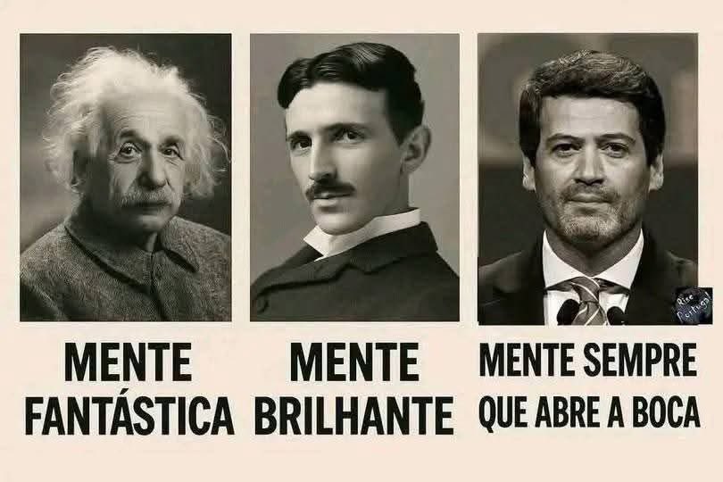 FDPinto (4️⃣0️⃣)🐉 🇺🇦 tweet media