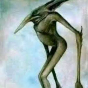 🪐🦋𝖓 tweet media