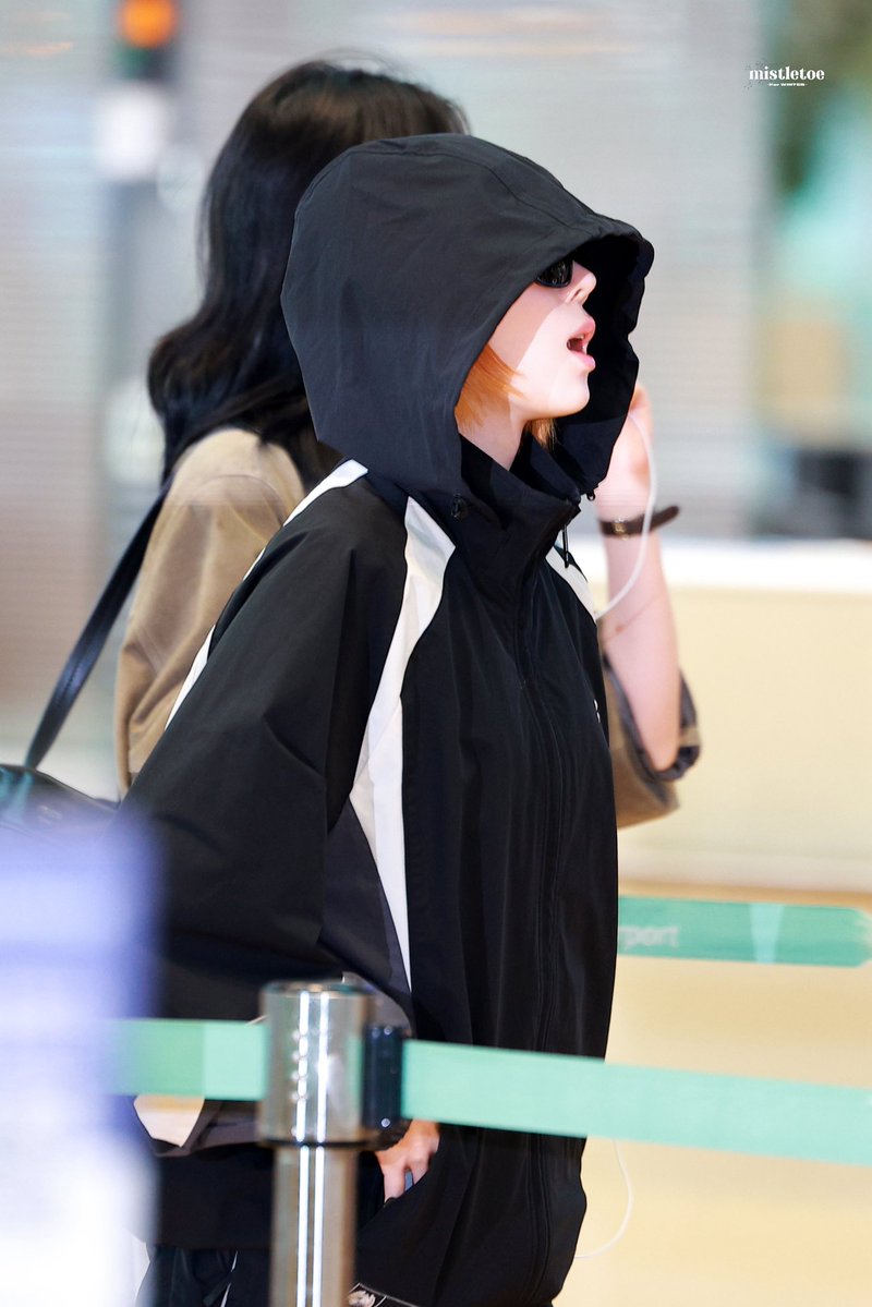 mistletoe_01 tweet media