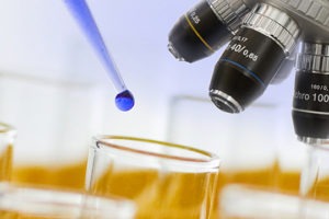 Novogene_Europe's tweet photo. Discover DNA-protein interactions with Novogene ChIP-Seq. We perform immunoprecipitation, library prep and deep sequencing to map transcription factors, histone modifications and regulatory elements. #ChIPSeq #Epigenomics #GeneRegulation https://t.co/ULfI5Oa82m https://t.co/tg0HHIP1km