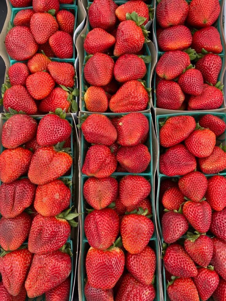 Fantasticfruits tweet media