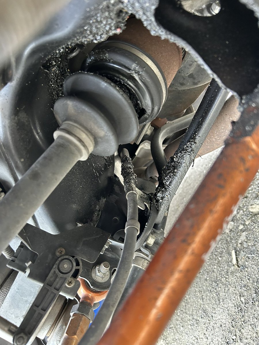 なおき tweet media