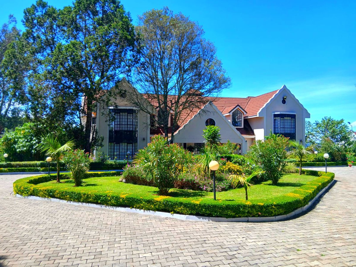 sam frank muchiri tweet media