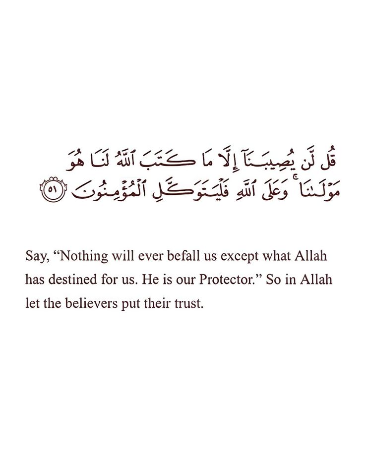 Muslim Ummah tweet media