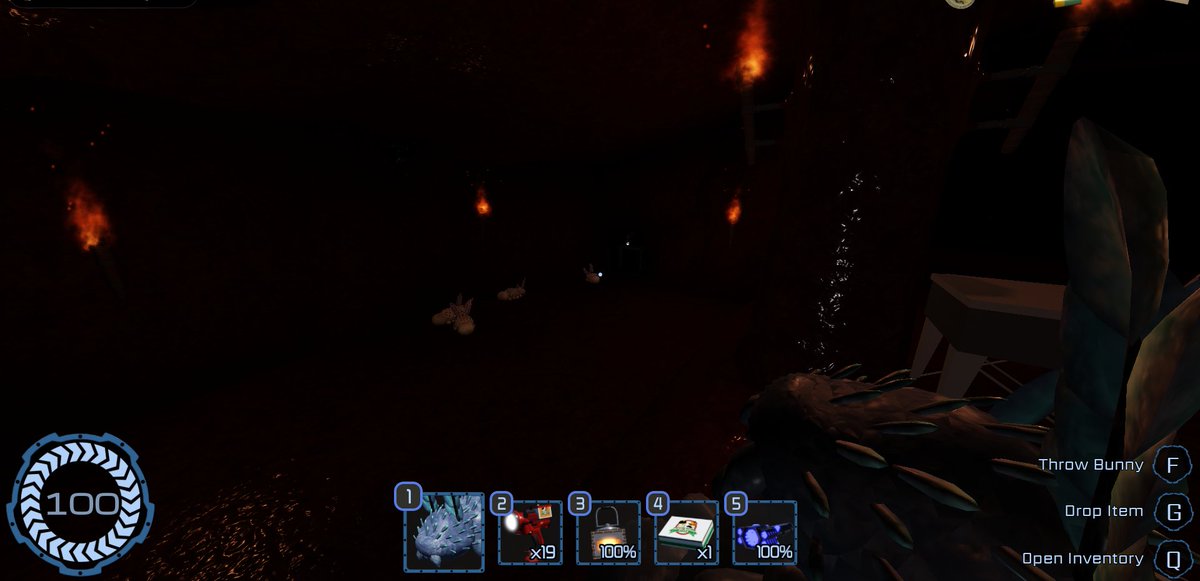 Thejellyfish tweet media