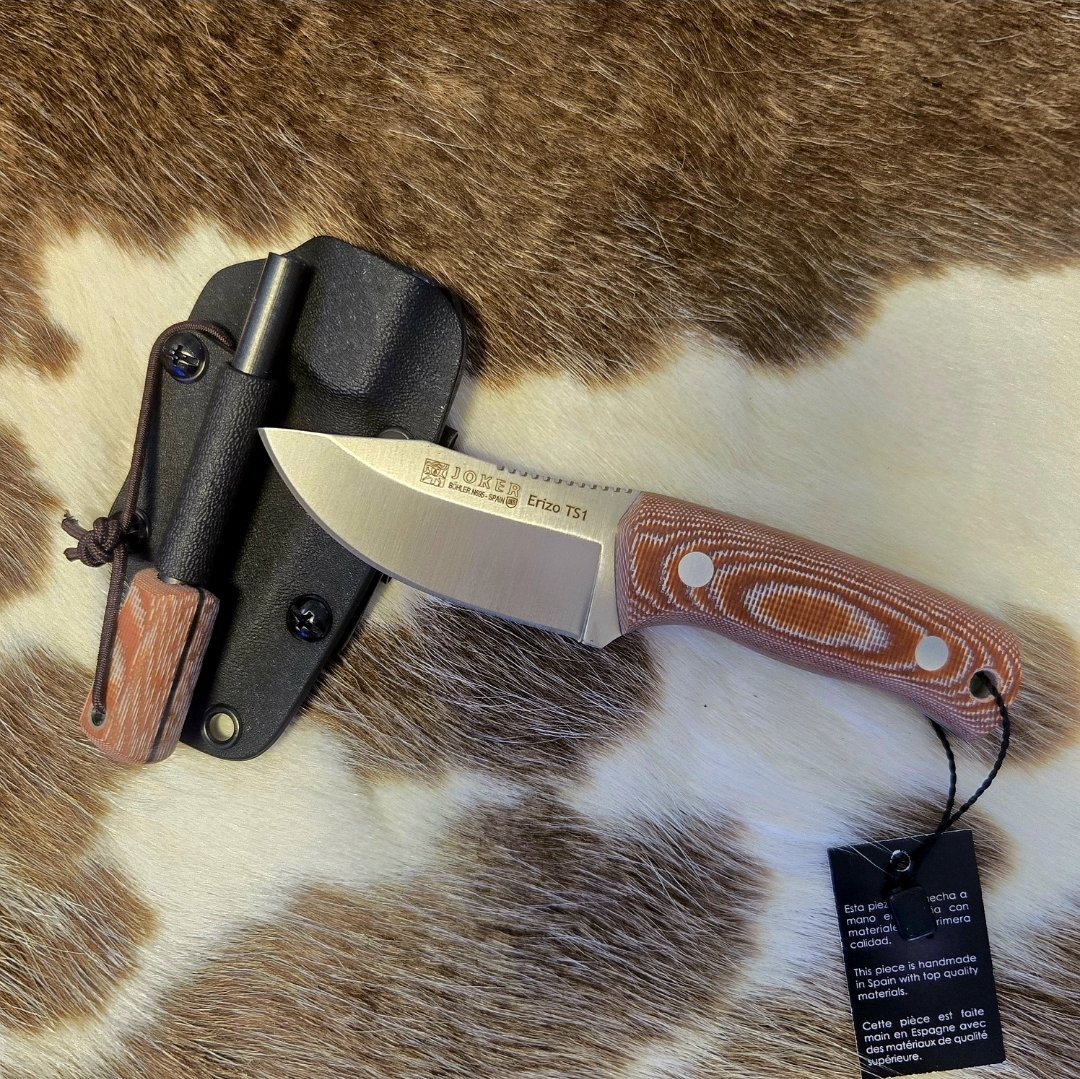 CAMPLUS｜Azumi tweet media