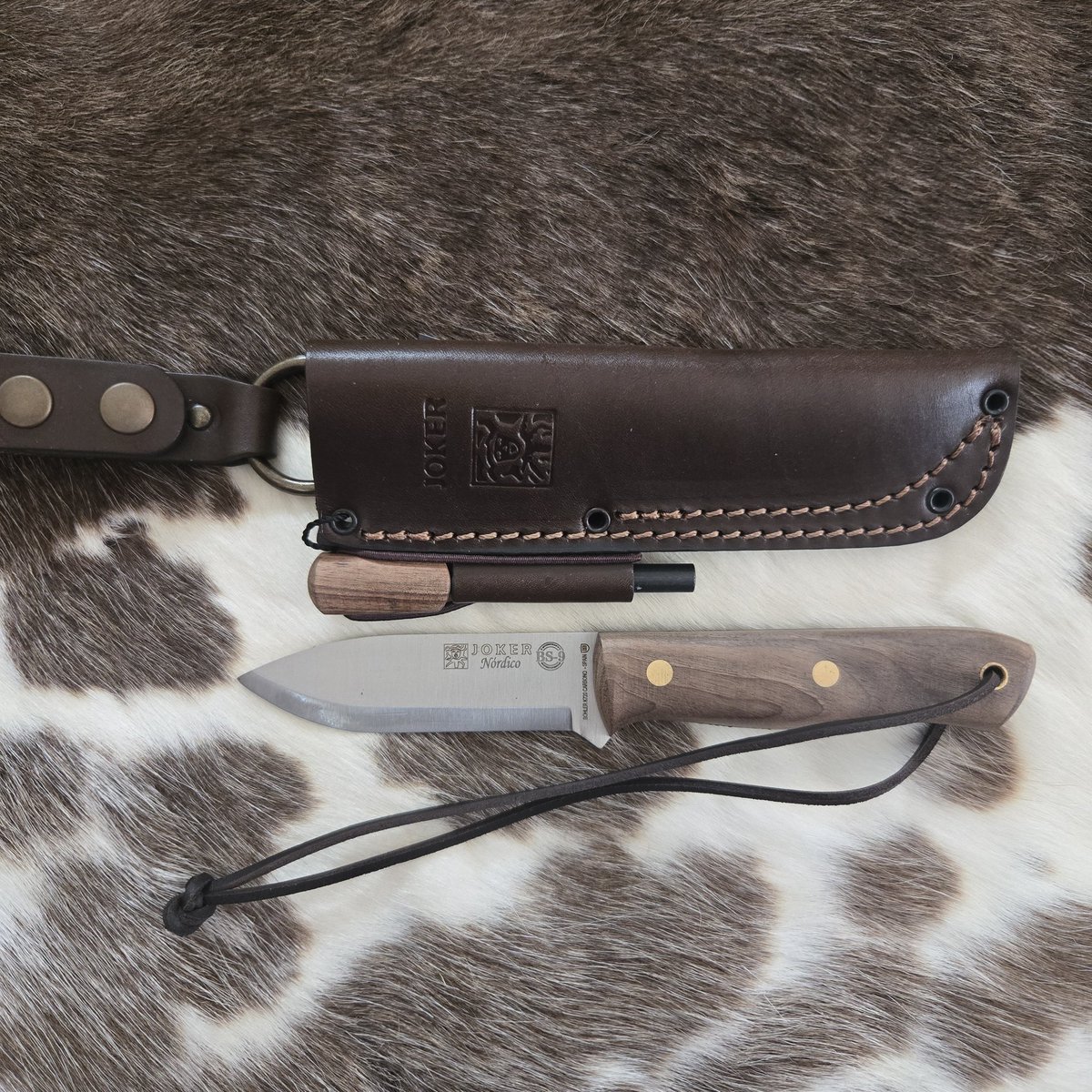 CAMPLUS｜Azumi tweet media