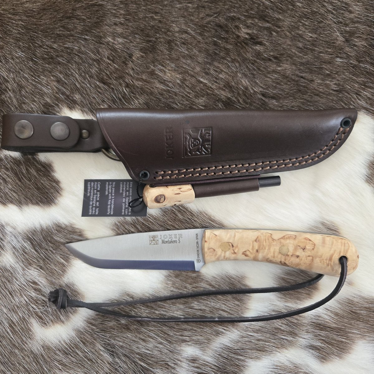 CAMPLUS｜Azumi tweet media