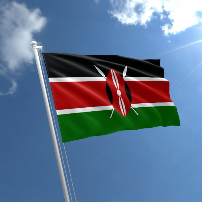 NEWS: 6,000,000 $USDA will be minted on Cardano under a new partnership for Anzens.

Anzens is entering Kenya, one of Africa's most important financial markets.

The $6M $USDA minting program is starting with pilot programs with local banks and financial institutions.
