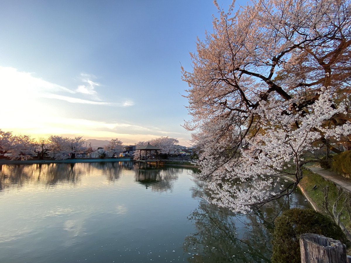 ちりめんさん♨️ tweet media