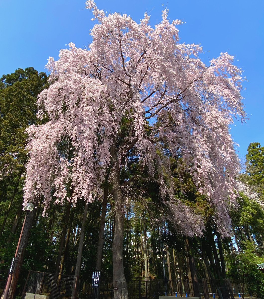 Tanji (タンジ) ／ 宮城県のどこでしょうか？クイズ写真もやってます tweet media