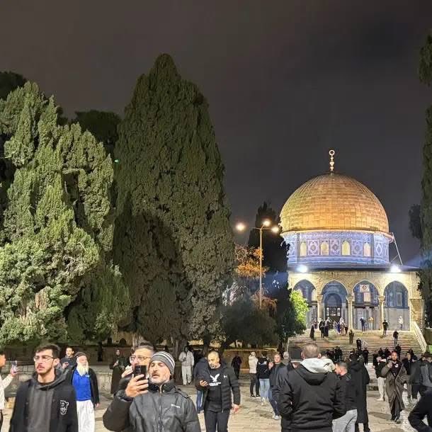 جهاد حلس، غزة tweet media