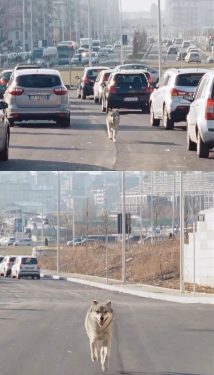 박선희 tweet media