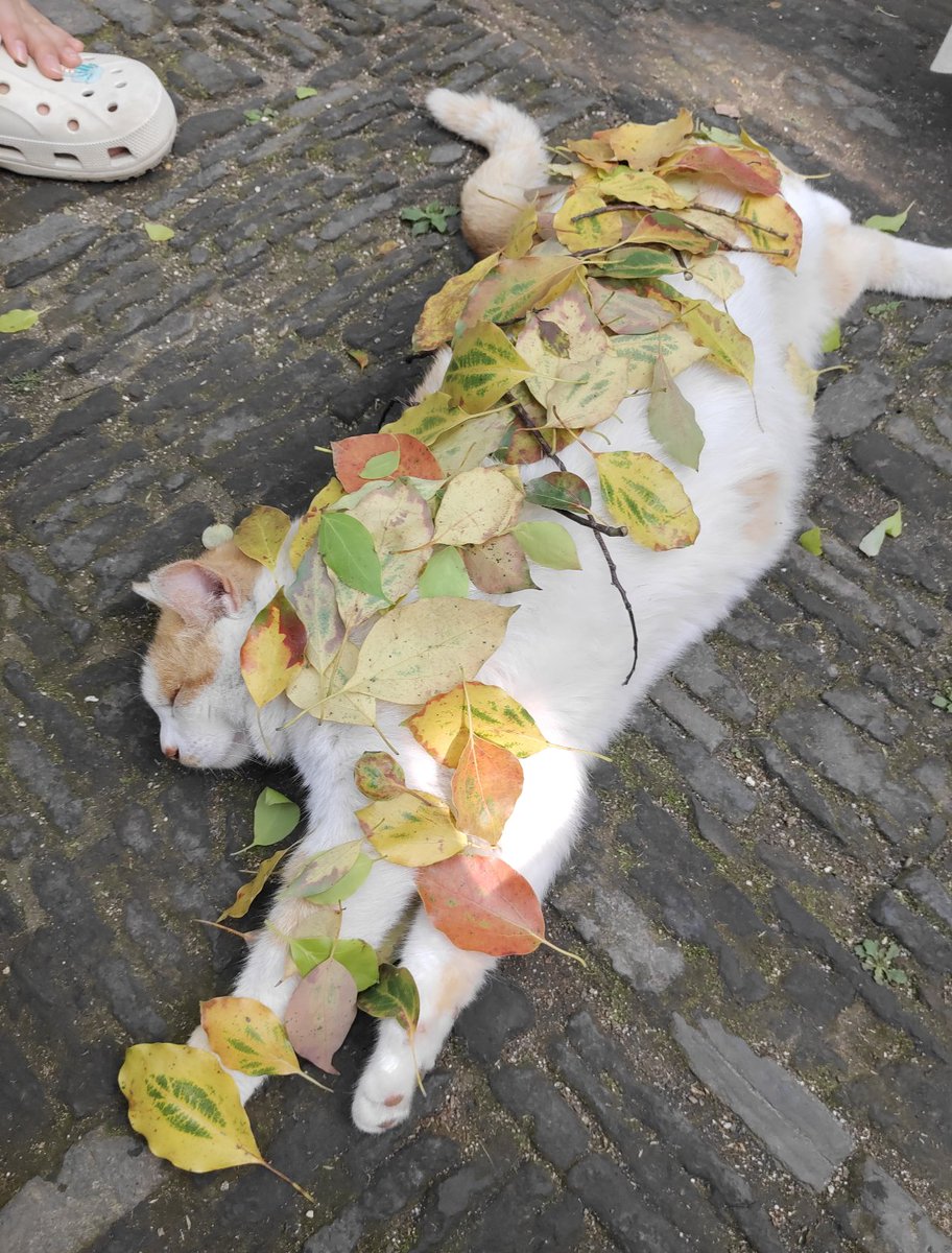 Kathleen tweet media