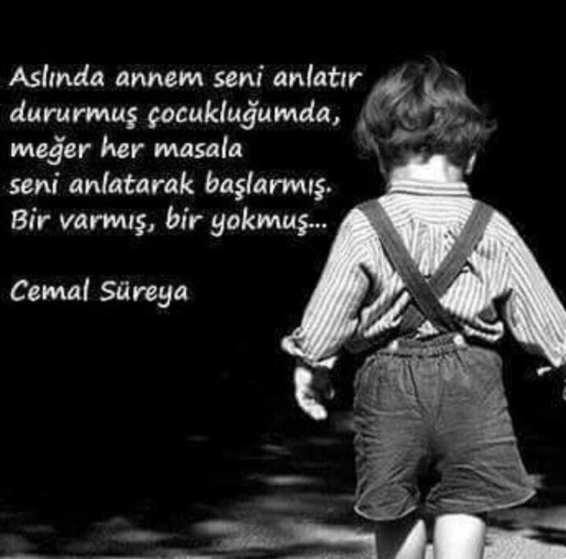 Cemal Süreya tweet media