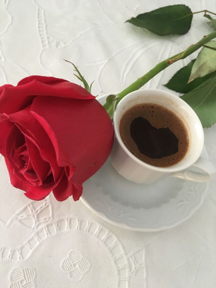 ❤️ابحث عن زوجه 👇🇸🇦 tweet media