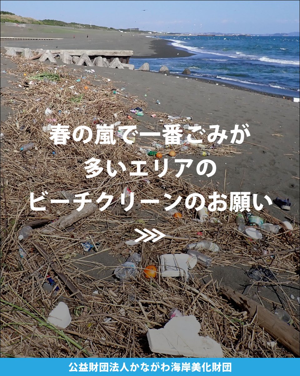 かながわ海岸美化財団 tweet media