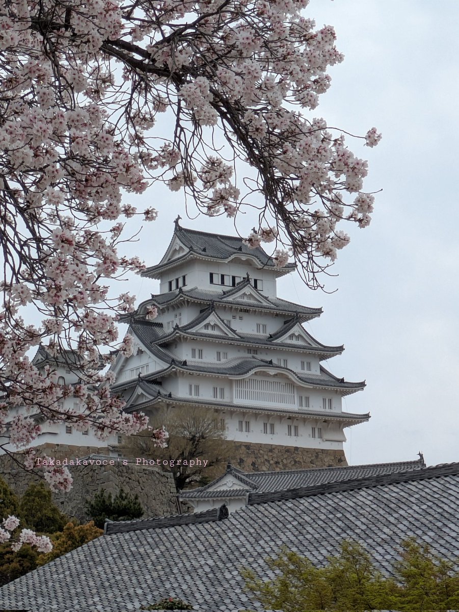 かっちゃん*.♡ tweet media