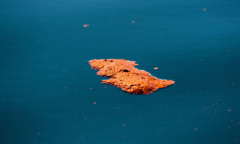 Wilson tweet media