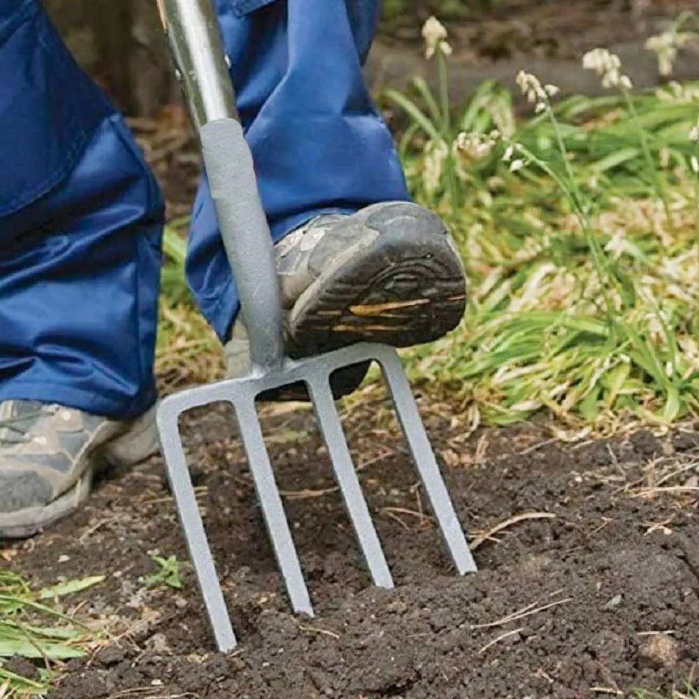 jinyuan80911's tweet image. 🌱 Tough soil? No problem.

Our 5-Tine Stainless Steel Digging Fork delivers strength, durability &amp;amp; comfort for every farming task.

📧 info@jinyuanint.com
🌐 jinyuanint.com

#jinyuantools #farming #gardentools #agriculture #heavyduty