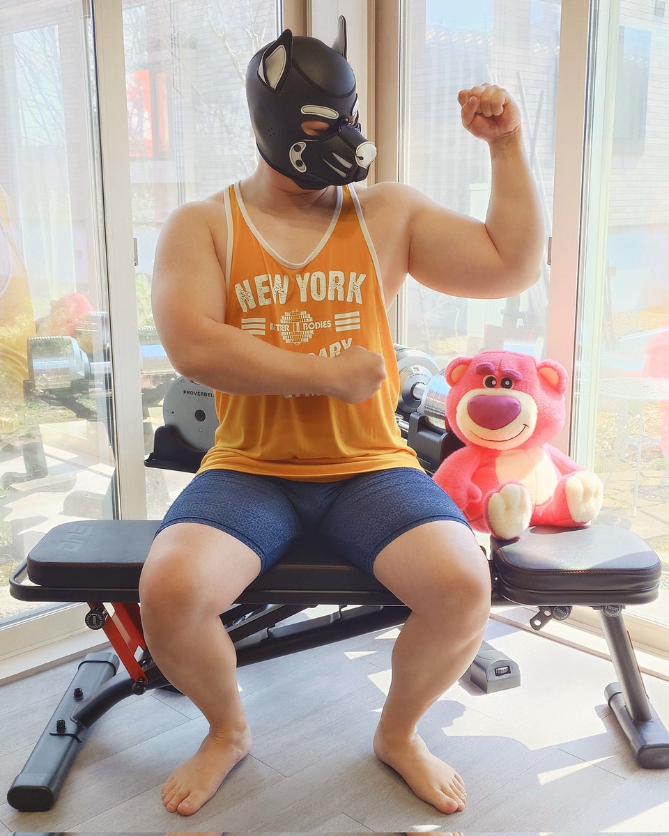 野良犬たかし Pup Norainu tweet media