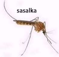 ∑ᶠʳʳ☆Cinnamon tweet media