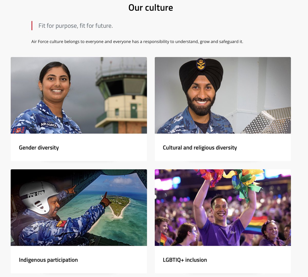 Take a look at our Air Force, gender and racial diversity is apparently their 'culture'.

This is not how you build a serious defence force. Our military is not a corporate values exercise. Its job is to defend Australia and destroy threats to the nation.

Recently the Deputy