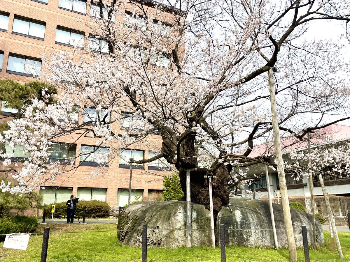 鉄神ガンライザー【公式】 tweet media