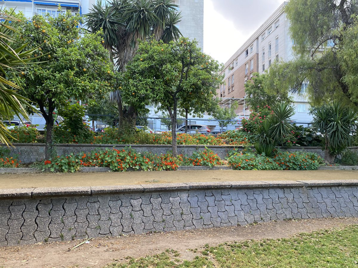 Jesus M. Castillo tweet media