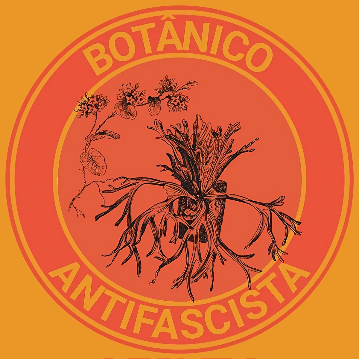 Anarchist Stickers Archive tweet media