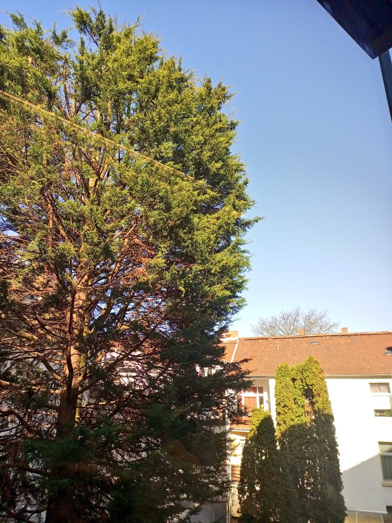 Mornings like this ❤️