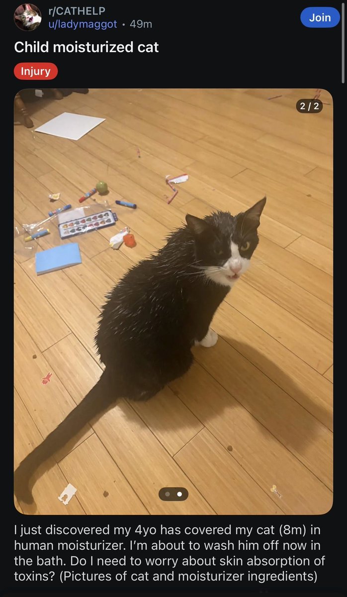 Reddit Lies tweet media