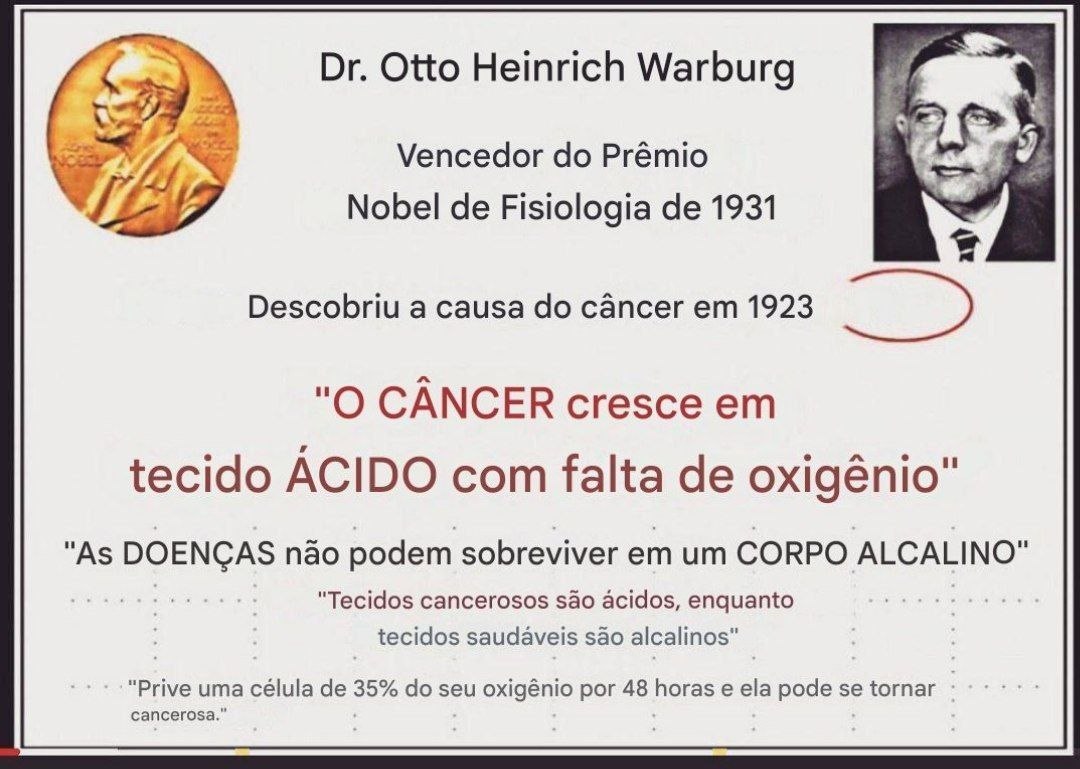 SandraSaray tweet media