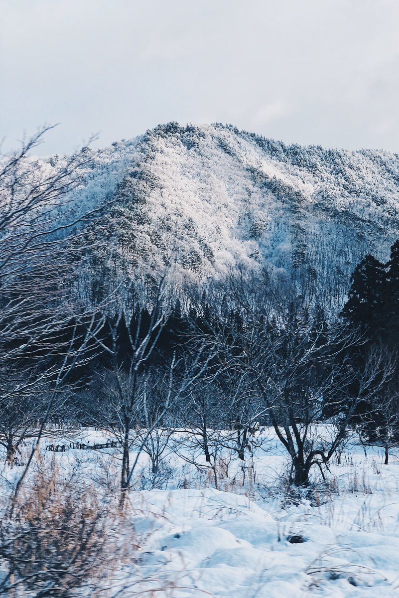 syuheiinoue's tweet photo. 2017-18年にiPhoneXで撮影された写真を振り返ると、結局のところ写真は光と状況、そして色が全てだと思い知らされる。

ここでいう色は、単にカラーグレーディングそのものを指すのではなくて「色による状況の伝え方」という意味で、

夏の日の暑い感じ
雪の寒々しさ

といった状況を的確に伝える手段としての色が全てということ。

今の時代は、誰でも簡単に「それらしい色」���作ることができるけど、色の組み合わせを通じて何かを伝えるのはどの時代も変わらず難しい。

だからこそ、自分はフィルムという単純かつ複雑な記録媒体から生まれる「言葉では形容できない撮影者の意図」を伝えることがすごく楽しい

似たような条件を設定してデジタルで伝えることができるのかもしれないけど、やっぱり違うから、写真って面白いなって思うのです。