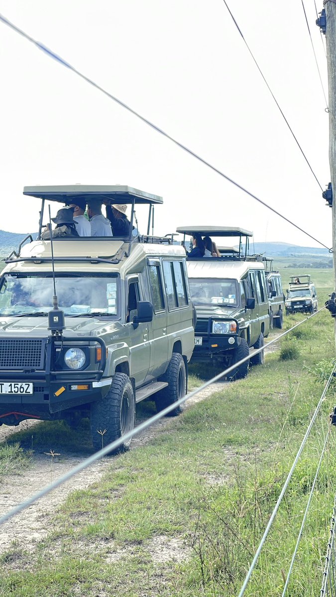 Moseax ✈ 🧳 tweet media