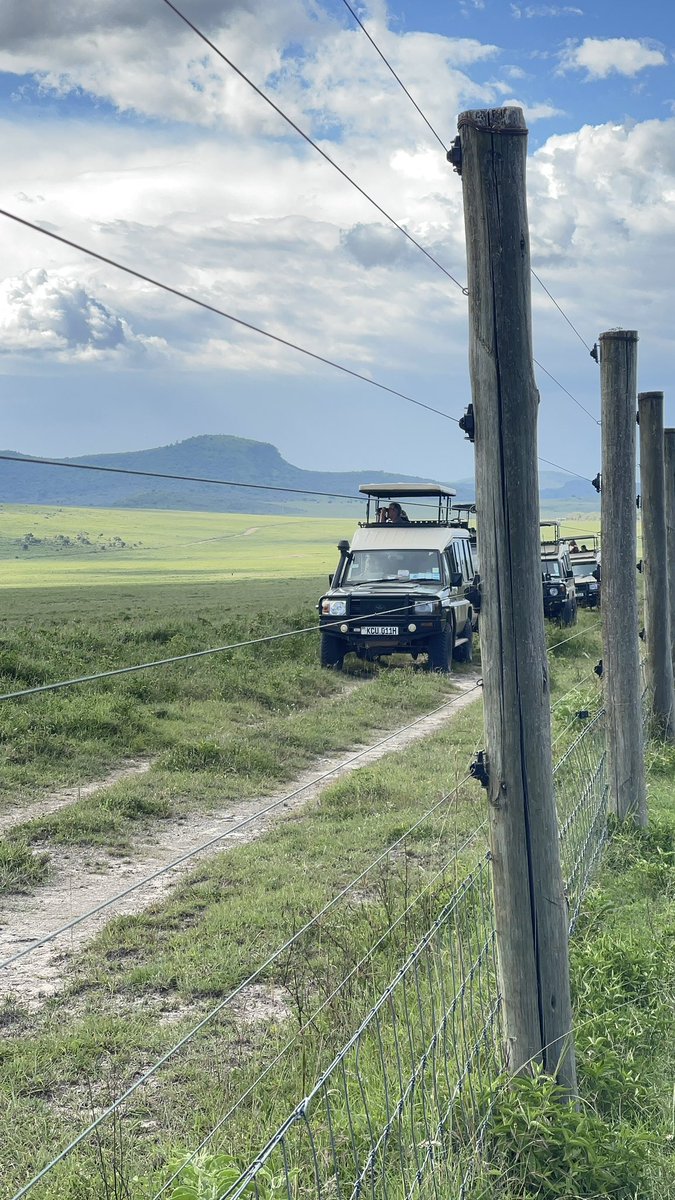 Moseax ✈ 🧳 tweet media