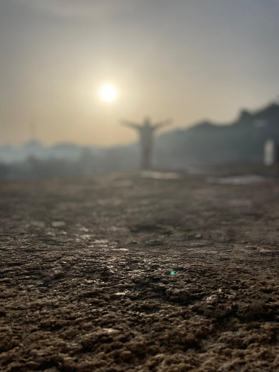 Cryptobugofficial tweet media