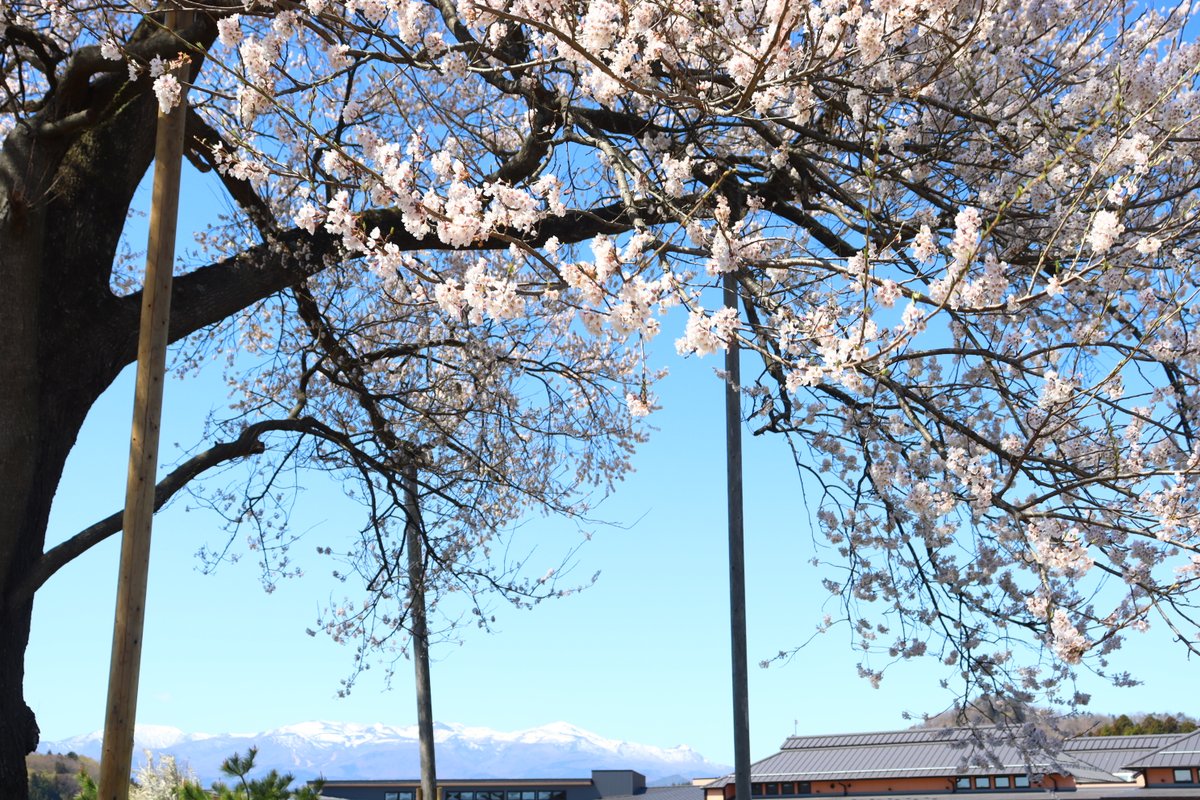 二本松市役所 tweet media