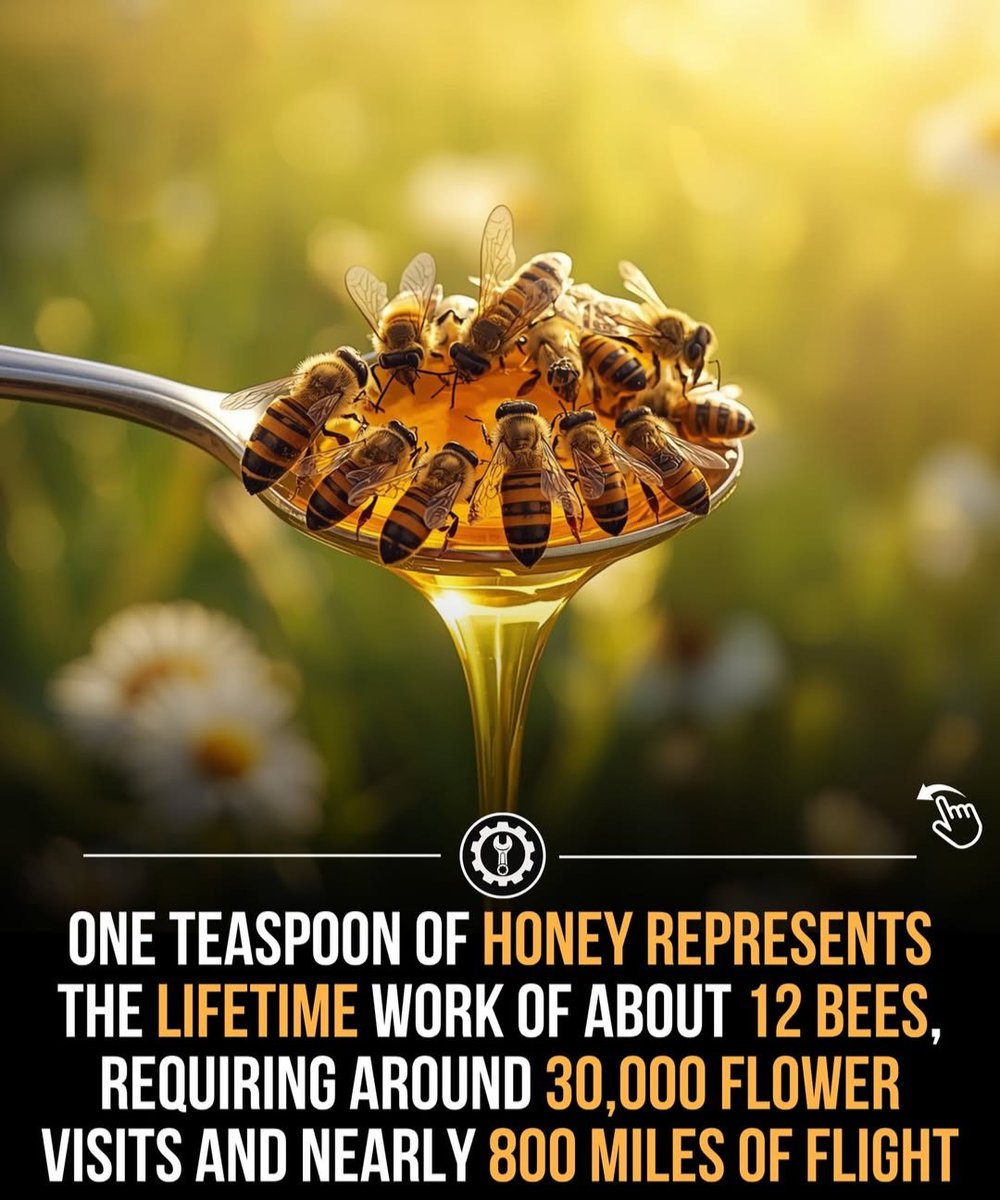 @FactExplorer tweet media