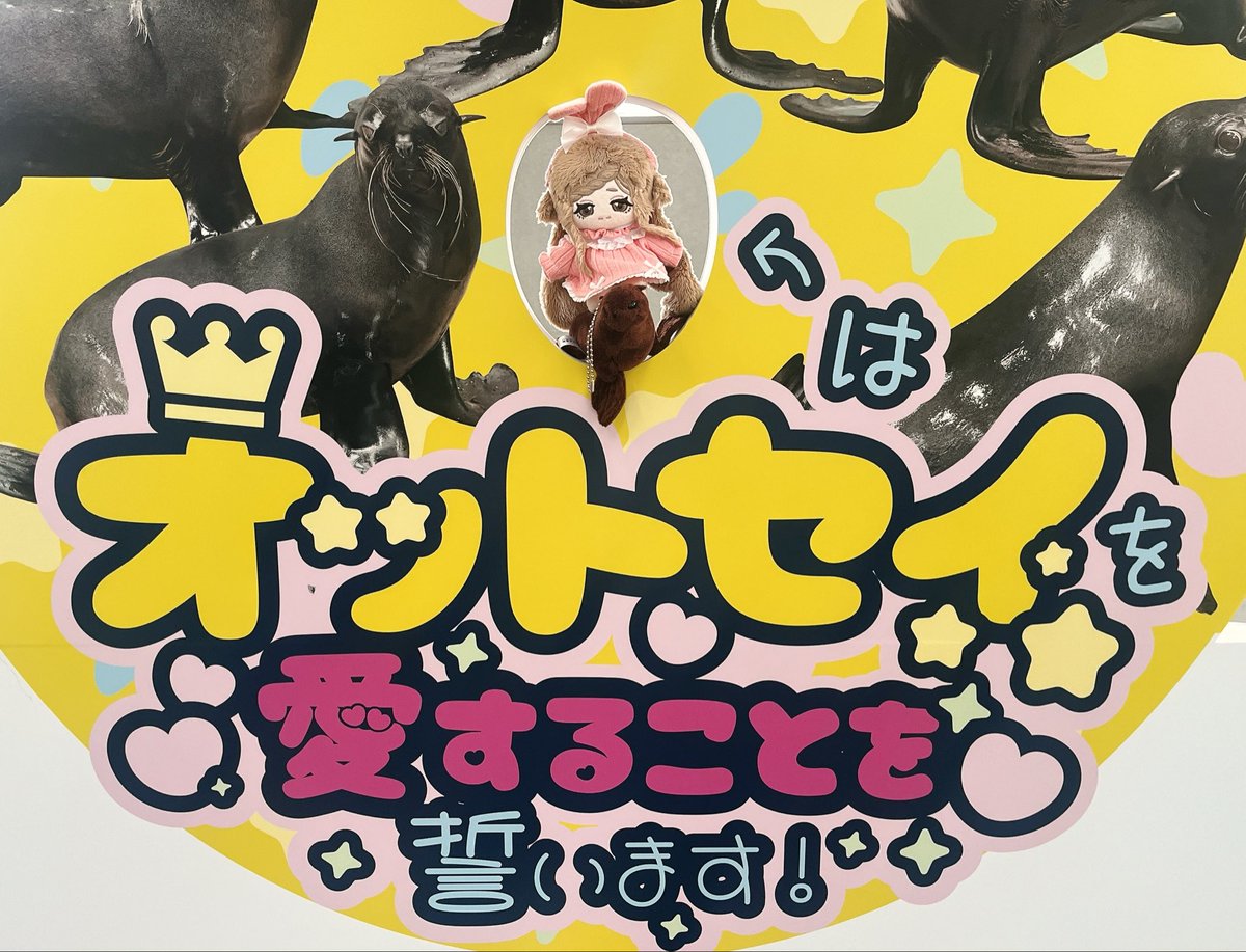 ゆきただ tweet media