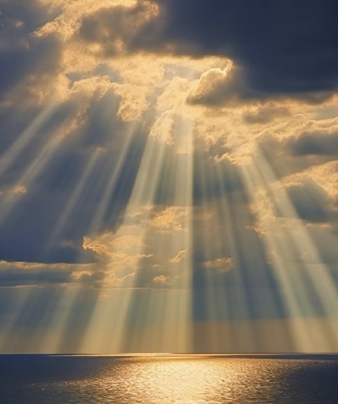 angel917 tweet media