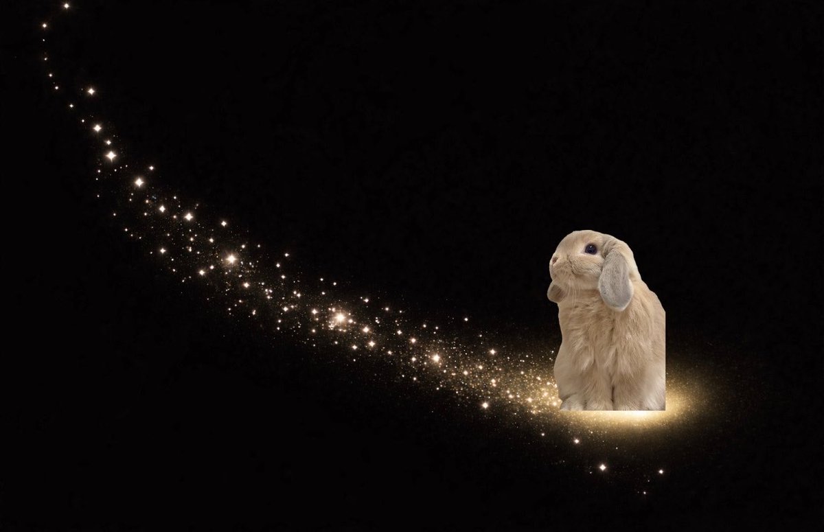 おいしいプリン tweet media